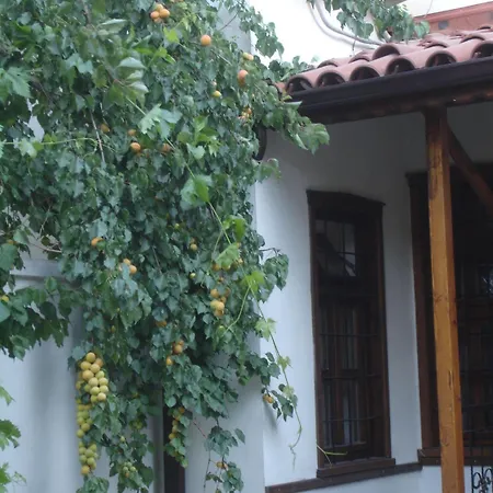 قونية دراويش